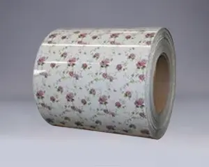 Dx51d dx52d dx53d ppgi ppgl polad coil