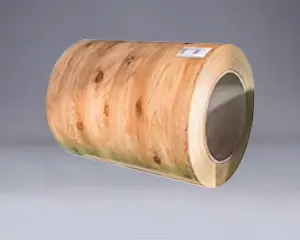 Taxta taxıl ppgi ppgl coil